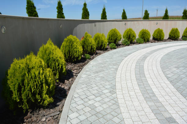 Best Driveway Paving Contractor  in Tyro, NC